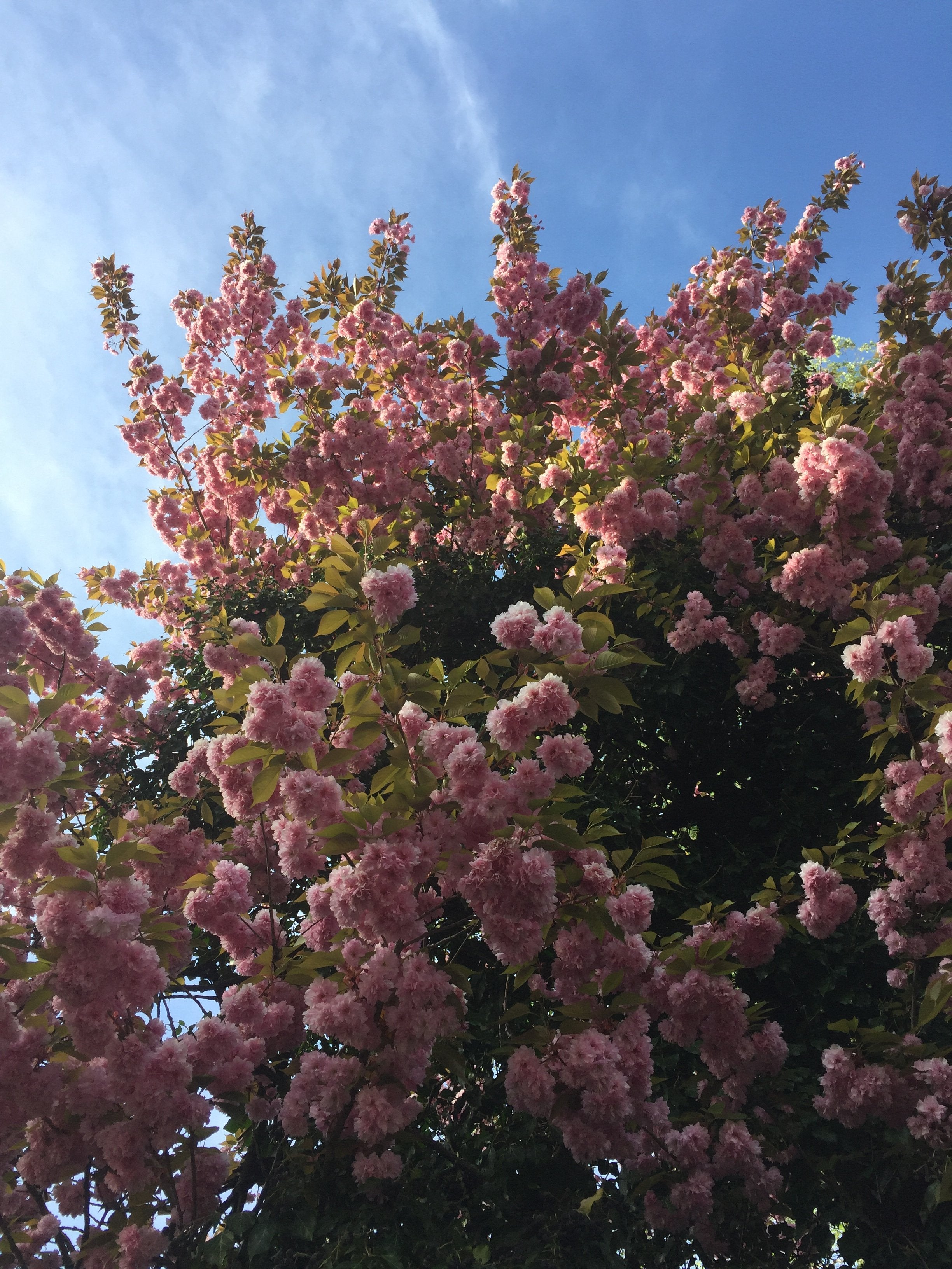 Gemeinsam stark - ASANDRI STUDIO