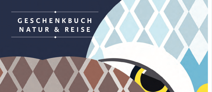 KNESEBECK - ASANDRI STUDIO