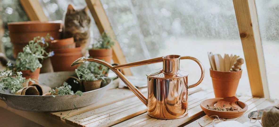 HAWS WATERING CANS