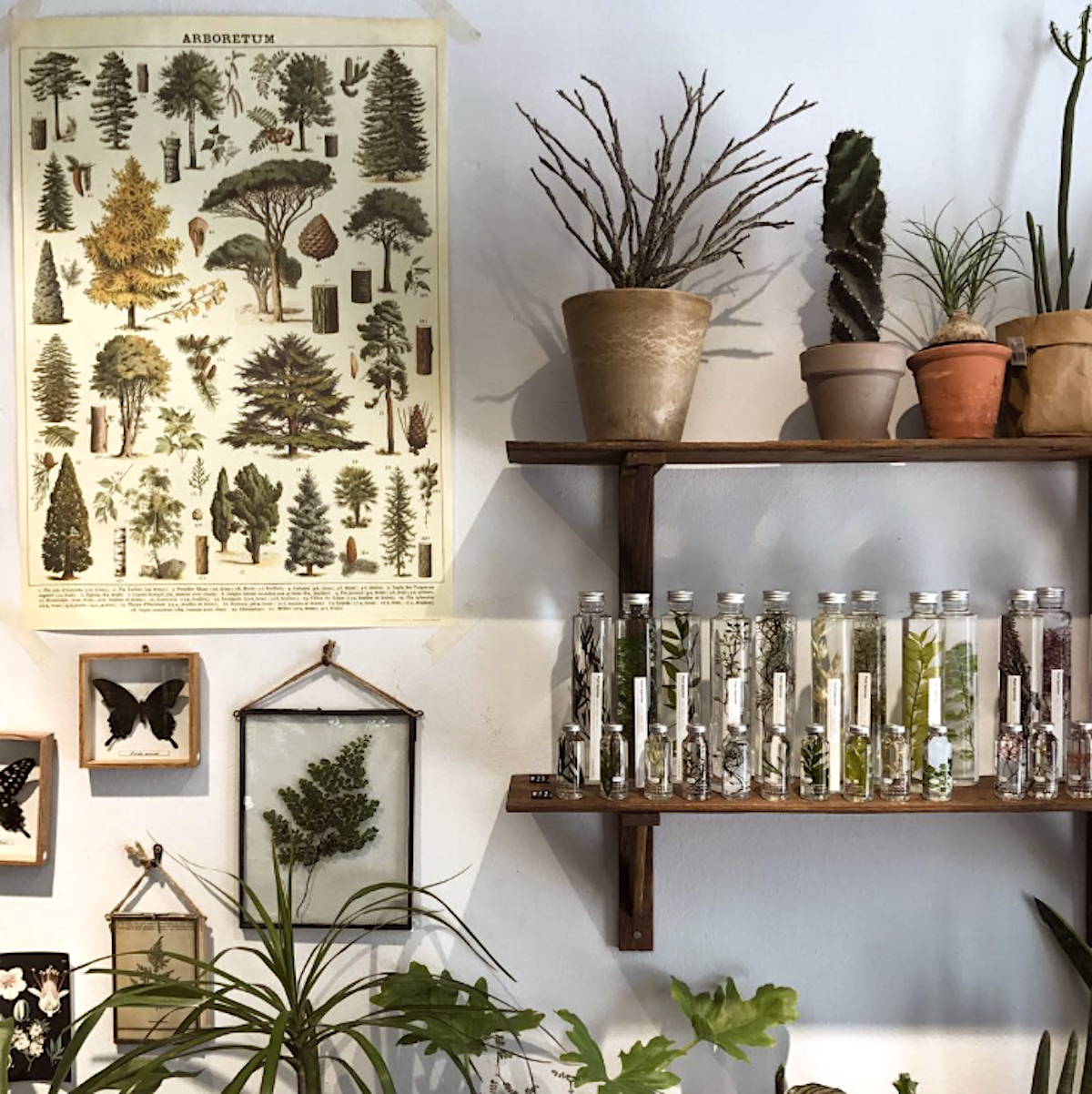 Plantlovers_Giftideas_BottlePlants