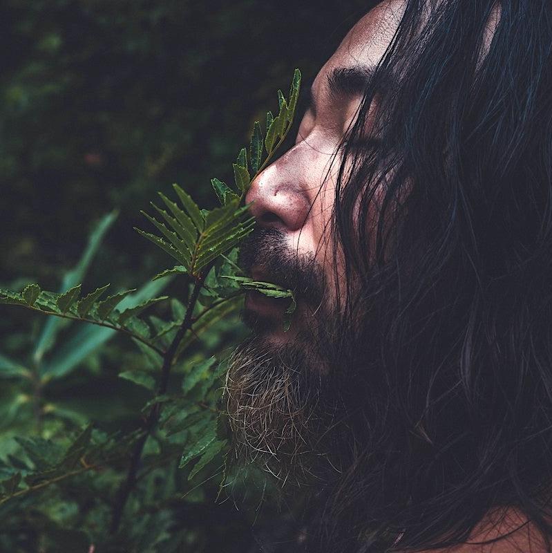 Bio-Sirup aus Japan | Kusaki Nectar | Alkoholfrei & Natürlich | 720ml | Made in Japan