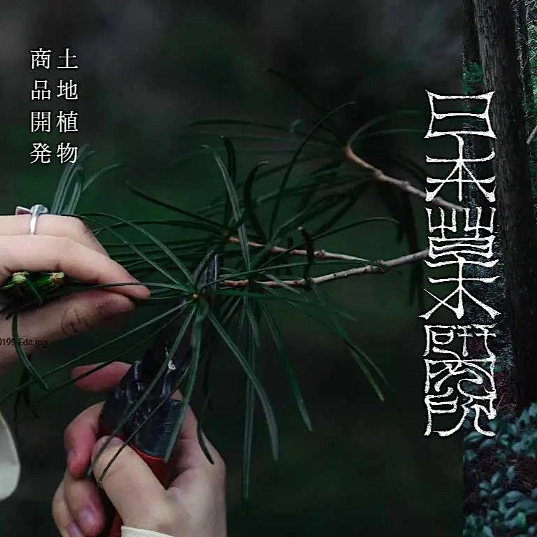 Bio-Sirup aus Japan | Kusaki Nectar | Alkoholfrei & Natürlich | 720ml | Made in Japan