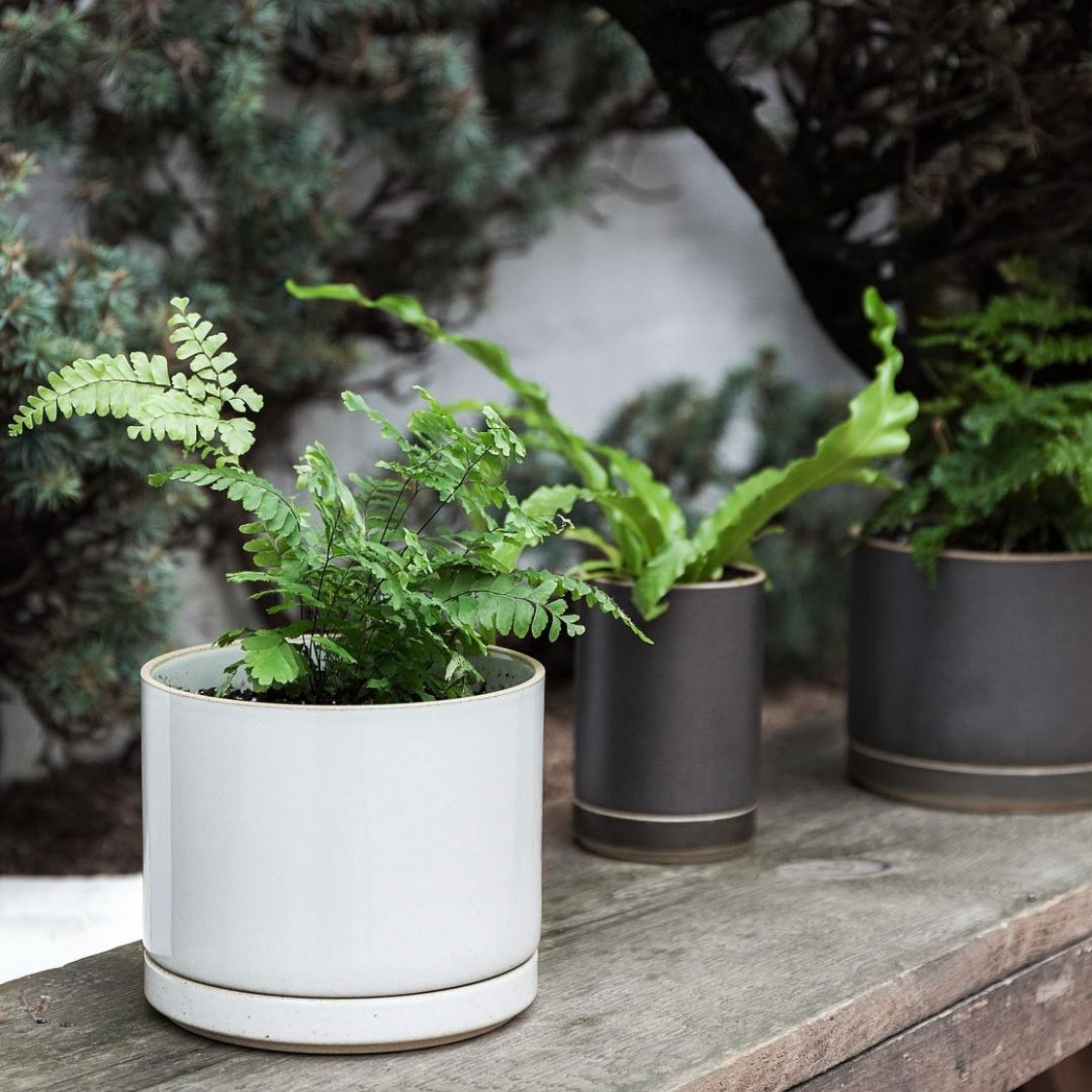 Blumentopf/Planzgefäss hellgrau Ø 14.5cm | HASAMI PORCELAIN Japan