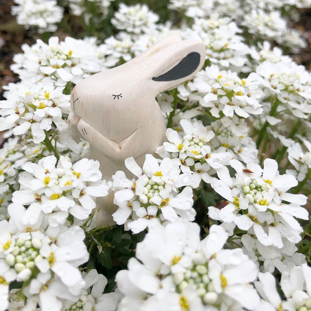 Small wooden bowl Kito | Futaba