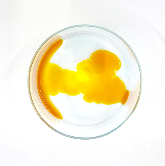 FUMISOME Japanische Naturtinte No.03 Gardenia Madein Kyoto Japan