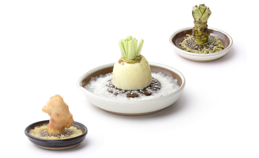 Japanische Keramikreibe Oroshi naturweiss | MUJUN | Handmade in Japan