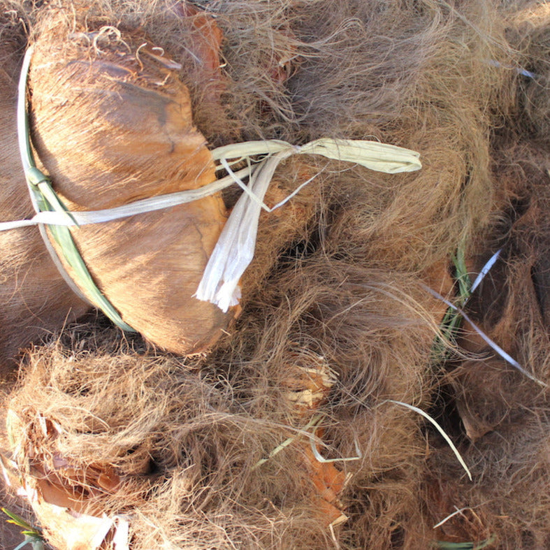 TAKADA - Tawashi Naturbürsten von der Windmühlenpalme Handmade in Japan