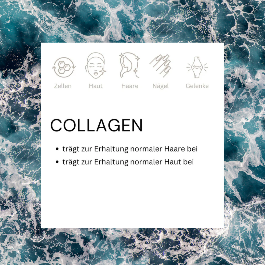 Collagen+ | mit Hyaluronsäure, Vitamin C, Zink und Selen