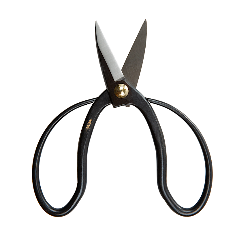 Higurashi Scissors – Gartenschere aus Carbonstahl für feine Schnitte