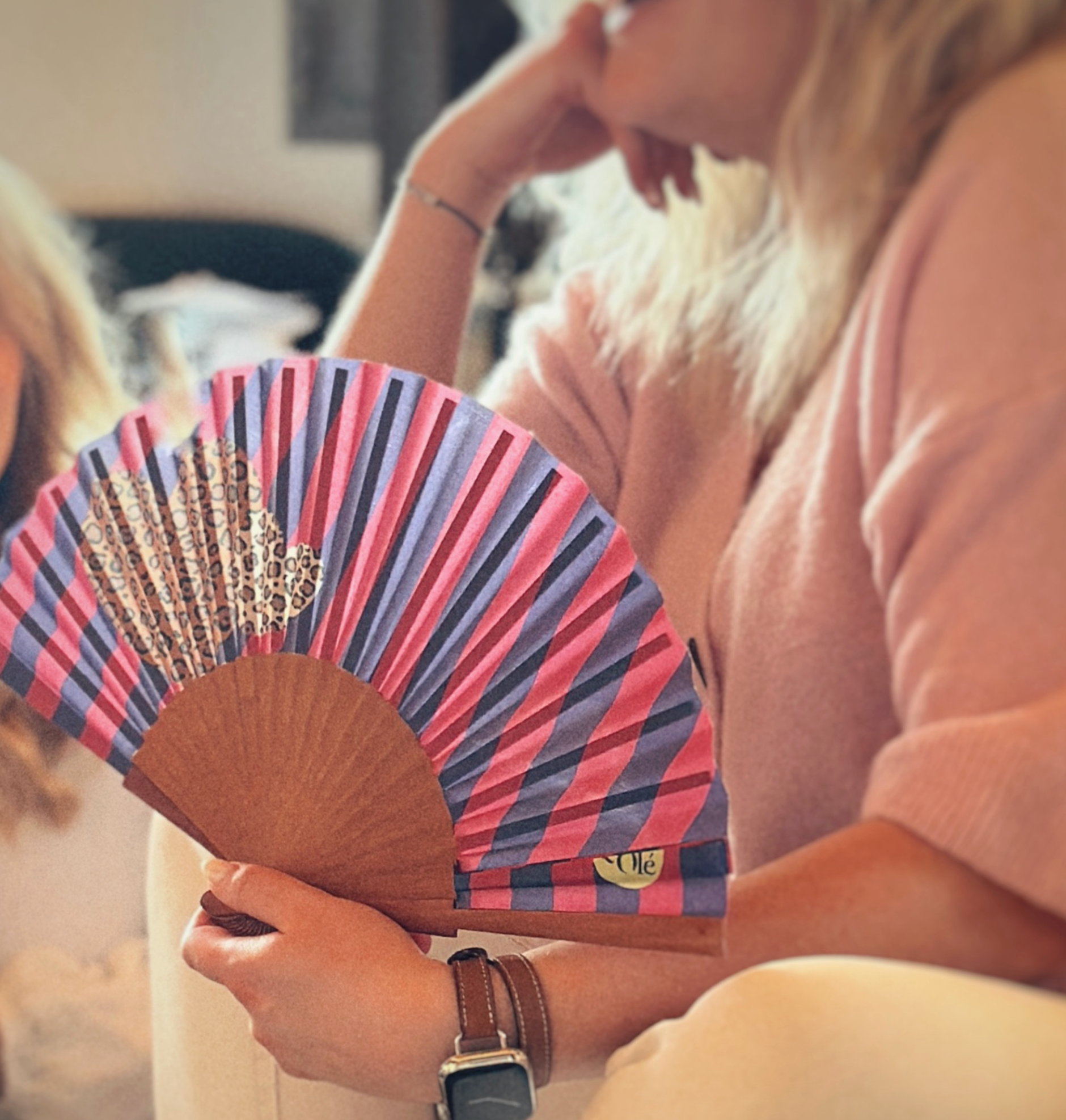 Handfächer aus Spanien | Blaubeerfächer