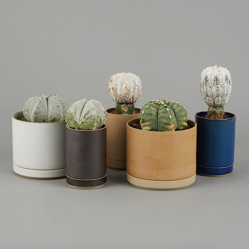 HASAMI PORCELAIN Pflanzenkübel aus Porzellan und Ton Handmade in Japan