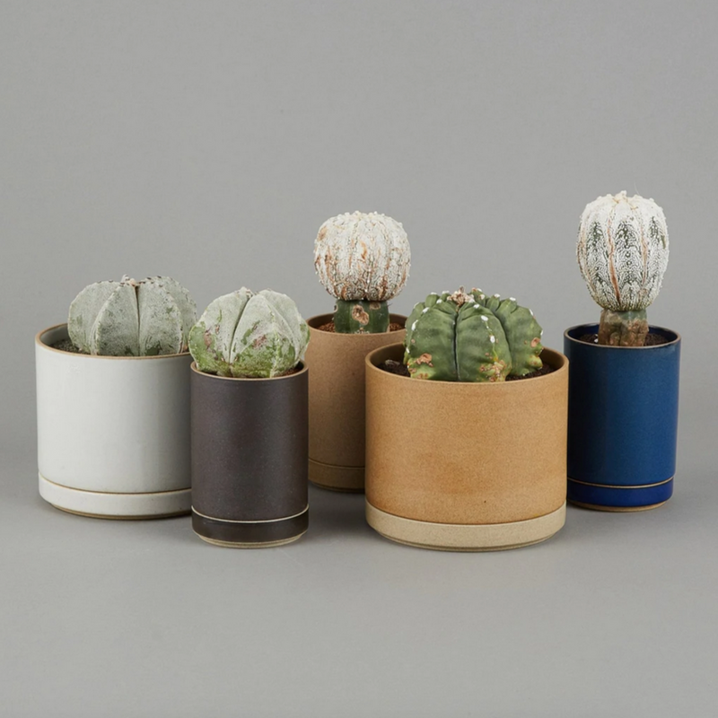 HASAMI PORCELAIN Pflanzenkübel aus Porzellan und Ton Handmade in Japan