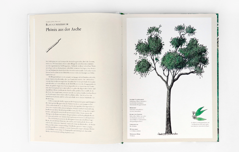 LAURENCE KING VERLAG Buch die Geschichte der Bäume eine visuelle Reise