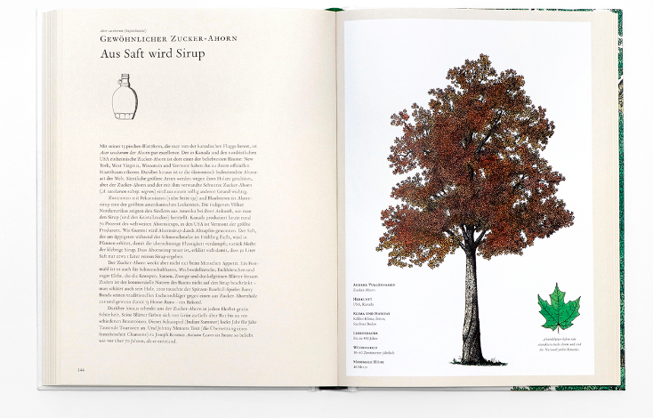 LAURENCE KING VERLAG Buch die Geschichte der Bäume eine visuelle Reise