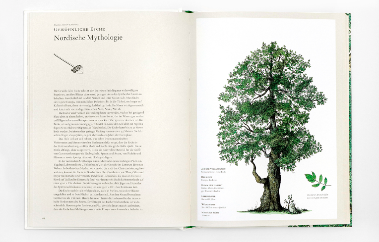 LAURENCE KING VERLAG Buch die Geschichte der Bäume eine visuelle Reise