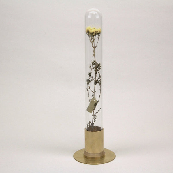 PICUS Herbaruim aus Messing mit einer Glaspuppel Handmade in Japan