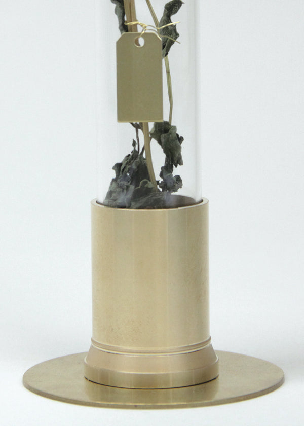 PICUS Herbaruim aus Messing mit einer Glaspuppel Handmade in Japan