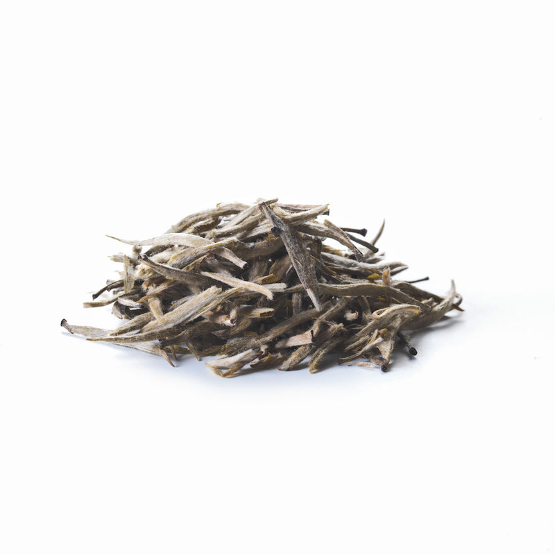 SIROCCO - White Silver Needle Tea 100% organic handcrafted luxury tea