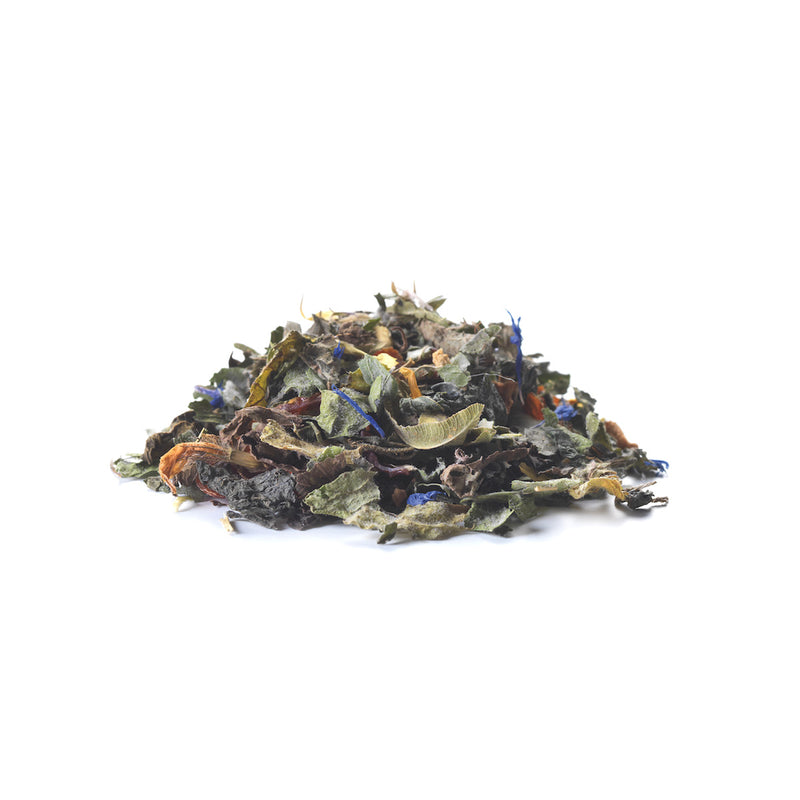 SIROCCO TEA PIZ PALÜ HERBAL TEA BIO