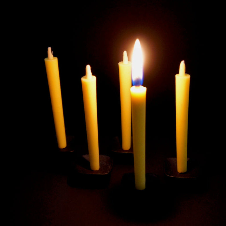 TAKAZAWA CANDLE Kerzen-Set Nanohana aus Rapsölwachs Made in Japan